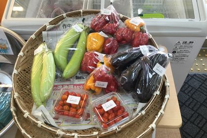 ゲンキファームの夏野菜いろいろ