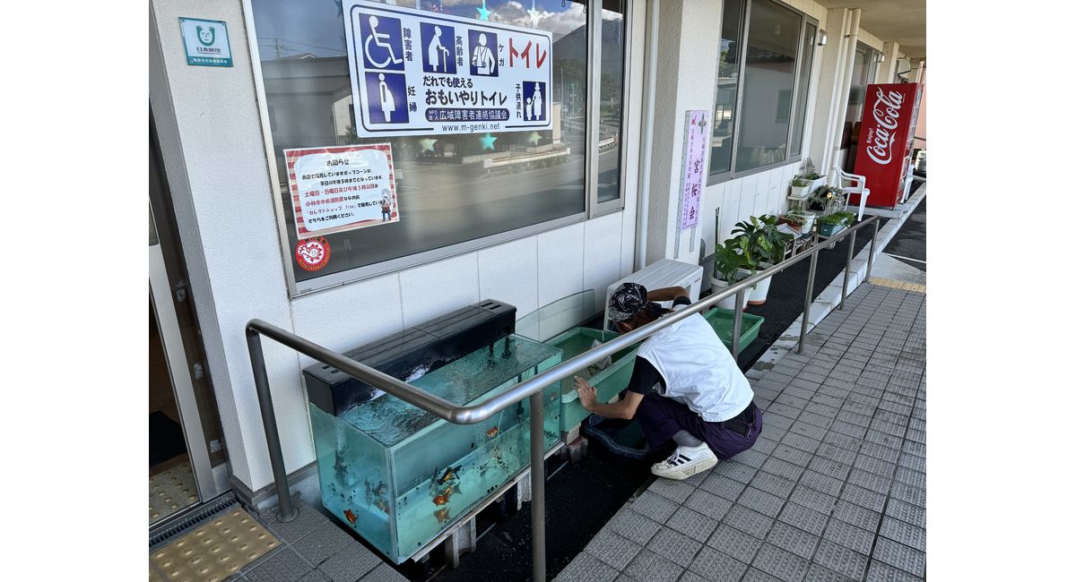 90センチ金魚の水槽